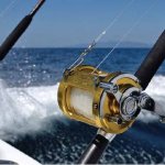 Deland Fishing Charters Offshore Fishing