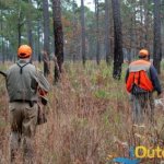 Hunting Quail