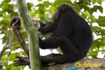 Eco Tours
