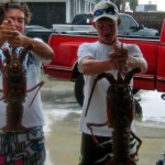 lobster