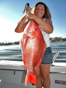 The Prize of Bottom Fishing.Snapper and Grouper - Saltwater Angler