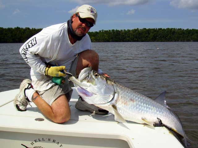 Tarpon Fishing