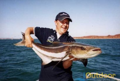 Cobia fishing