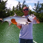 Tarpon miami