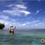 Fly Fishing Fly Fishing