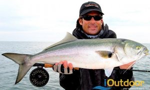 Deep Sea/Offshore Fishing