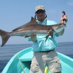 cobia