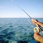 deep sea fishing