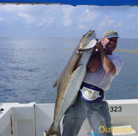 Deep  Fishing on Fishing In The Keys Florida Key West Deep Sea Fishing     Ioutdoor