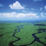 everglades