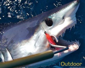 Deep Sea/Offshore Fishing