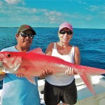 queen snapper