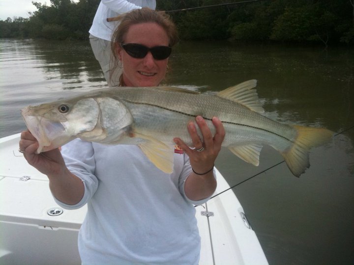 Snook Fishing Snook Fishing in Florida is Fishing Capital of Snook