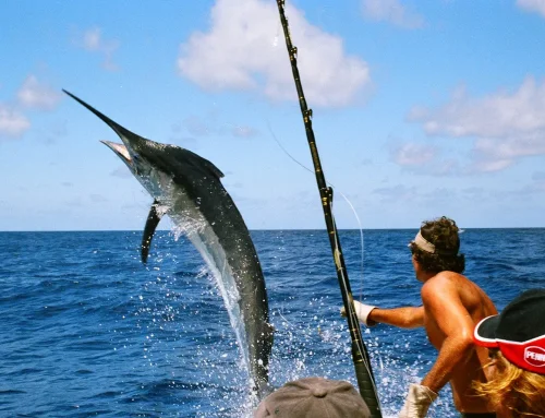 6 Fishing Destinations in Florida