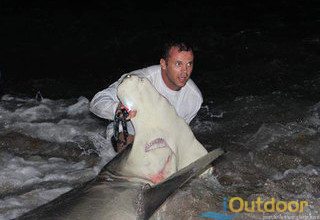 Massive shark caught