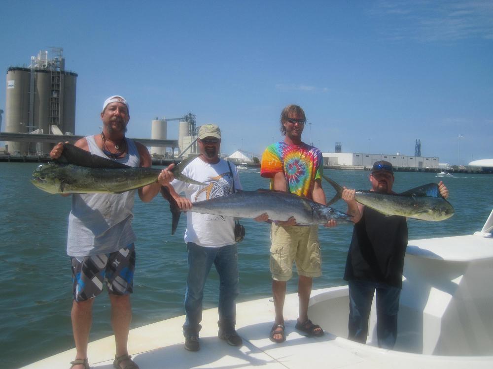 BUNCHGROUPFISH %Fishing Charters%