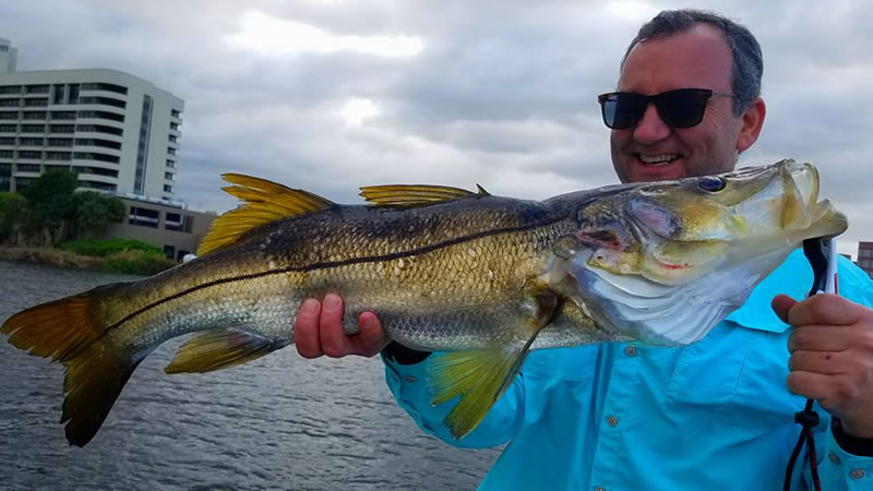 Miami Freshwater Snook Fishing