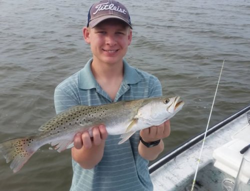Fly Fishing Mosquito Lagoon