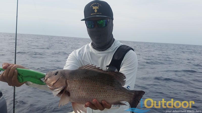 Ponce Inlet Snapper Fishing 1