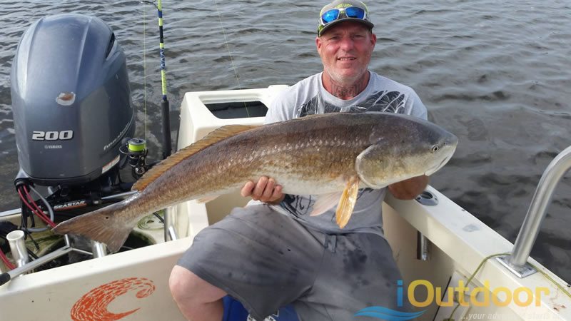 Trophy Florida Redfish Fishing 3