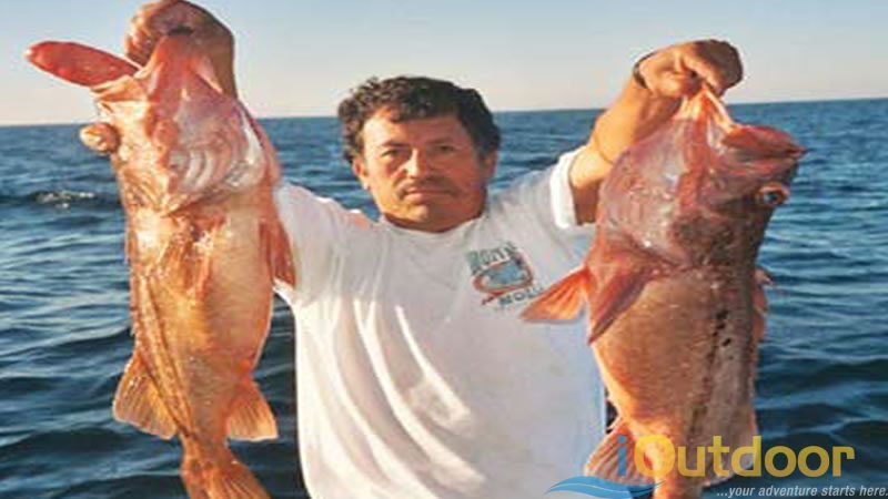 Boca Grande Offshore Fishing