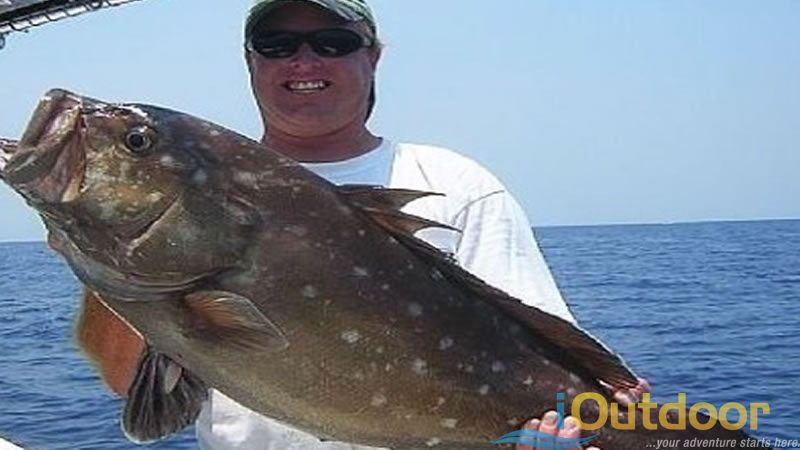 Sarasota Offshore Fishing