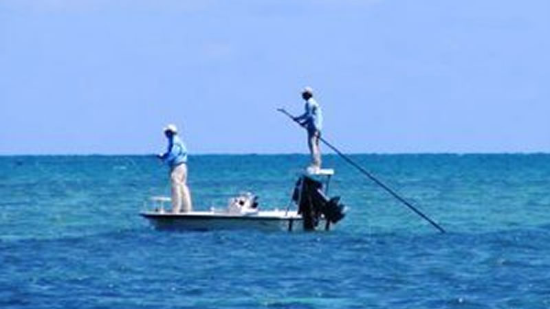 Tampa Inshore Fishing