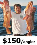Crystal River Offshore Fishing Charters