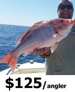 Palm Coast Offshore Fishing Charters