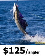 Sport Fishing in Ft Lauderdale Charters
