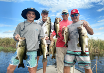 Tampa Bass Fishing