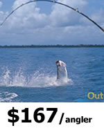 Tampa Tarpon Fishing Charters