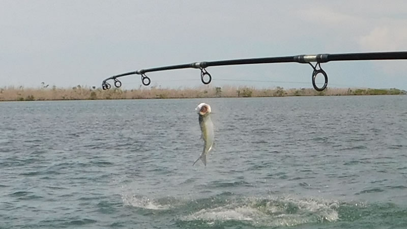 July Marathon Backcountry Fishing