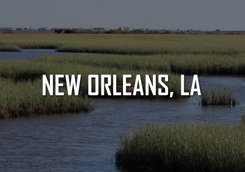 NEW ORLEANS TOURS AND ACTIVITIES NEW ORLEANS TOURS AND ACTIVITIES