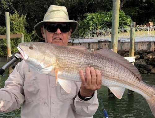 March Inshore Fishing Charters out of New Smyrna Beach, Florida