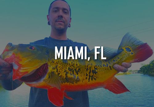 Miami Beach Tours and Activities Miami Beach Tours and Activities