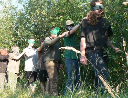 Bee Sting What to DO