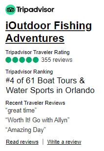 TripAdvisor Reviews