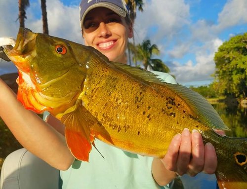 Fishing Miami: Your Passport to the Best Fishing Spots in Miami