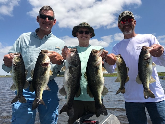 Why is Bass Fishing So Popular %Fishing Charters%