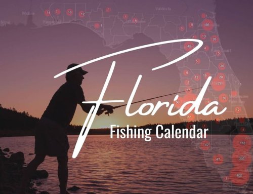 The Ultimate Florida Fishing Calendar