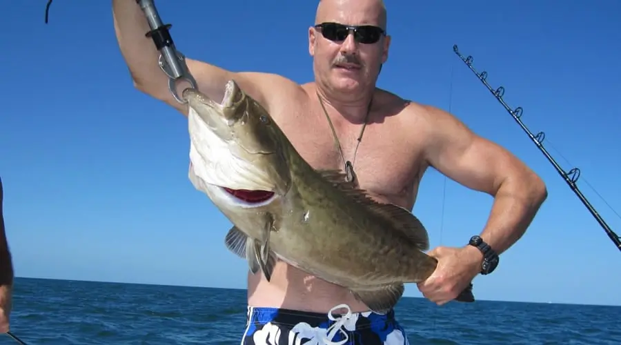 Angler holding a large grouper on a boat