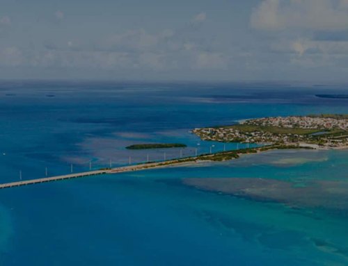 Best Seasons to go on a Fishing Adventure in the Florida Keys