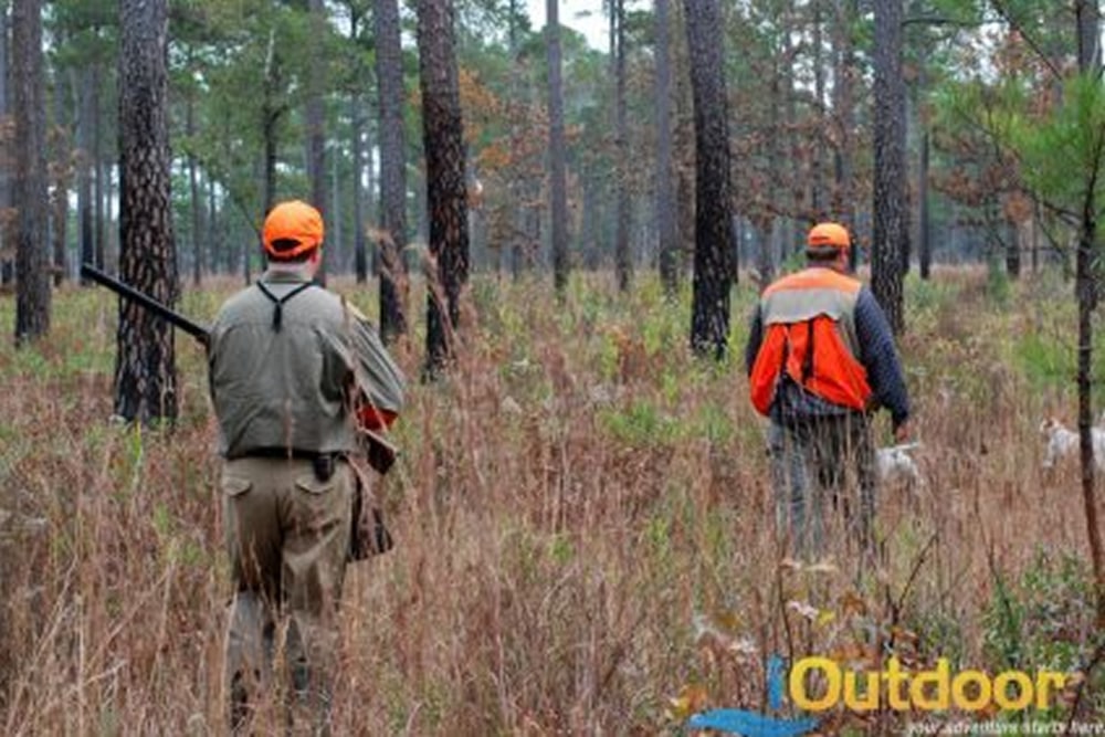 A Hunter’s Guide to The Best Waterfowl Shotguns 