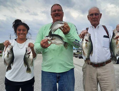 7 Best Places To Go Crappie Fishing In Florida