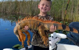 Iguana Hunting with kids in Florida