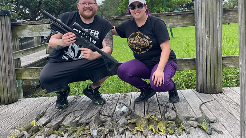 iguana hunting couple