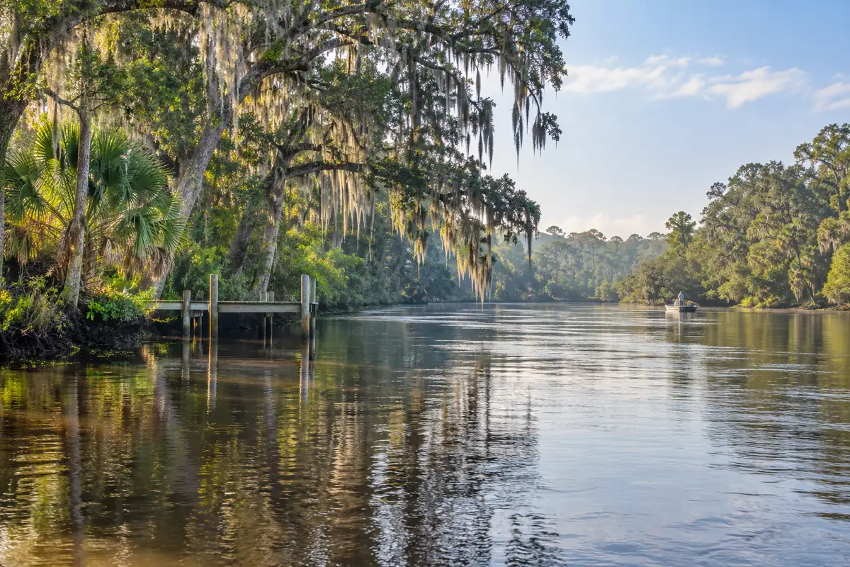 Moss-draped oaks along the St. Johns River near DeLand