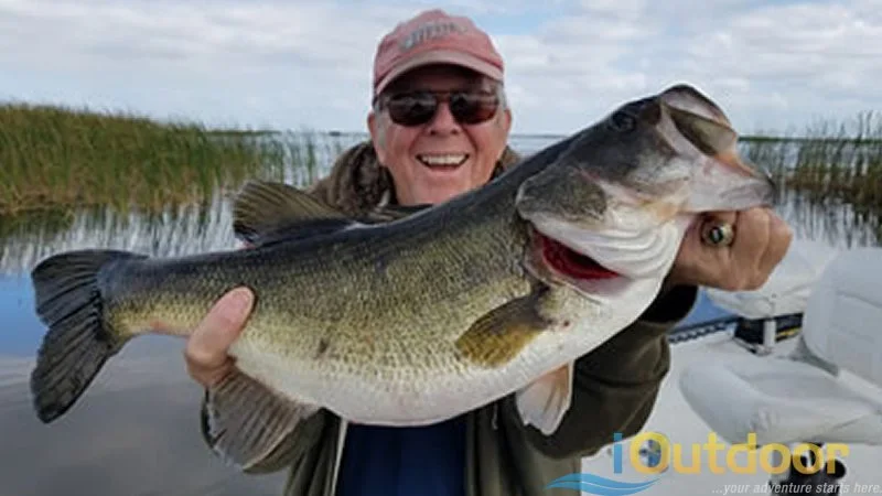 Smiling angler holding a large largemouth bass on a St. Johns River bass fishing trip near Daytona Beach