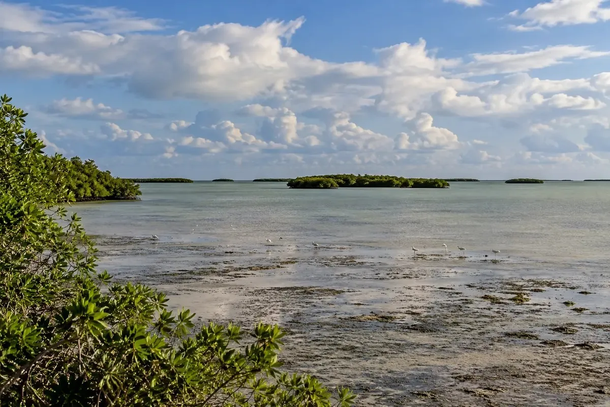 Shallow flats at Flamingo in Everglades National Park